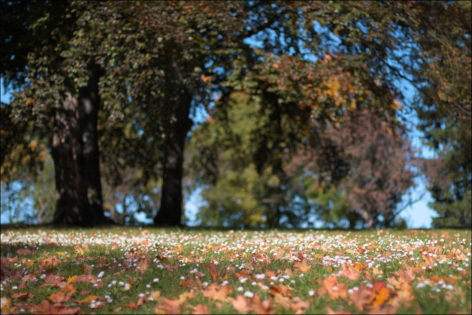 Все краски осени