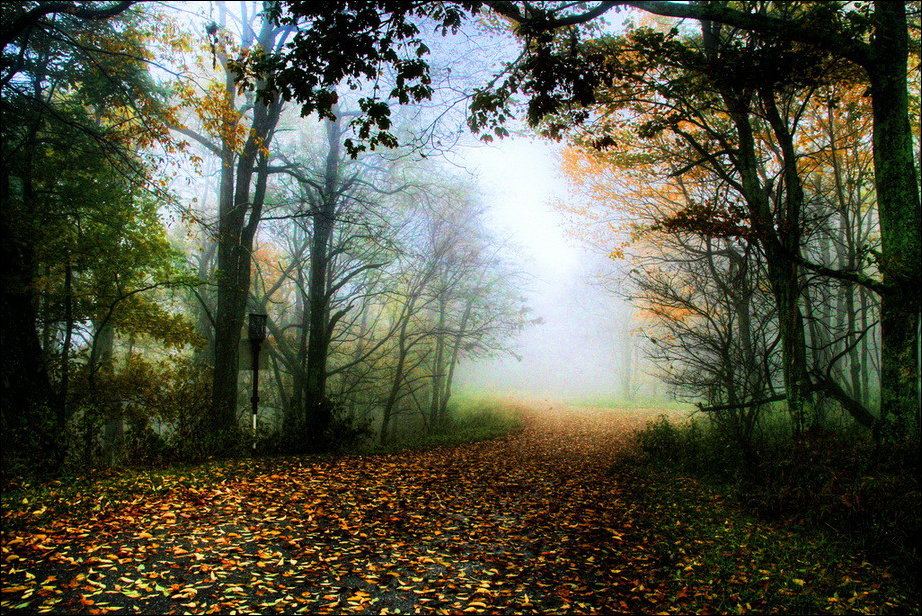 Все краски осени