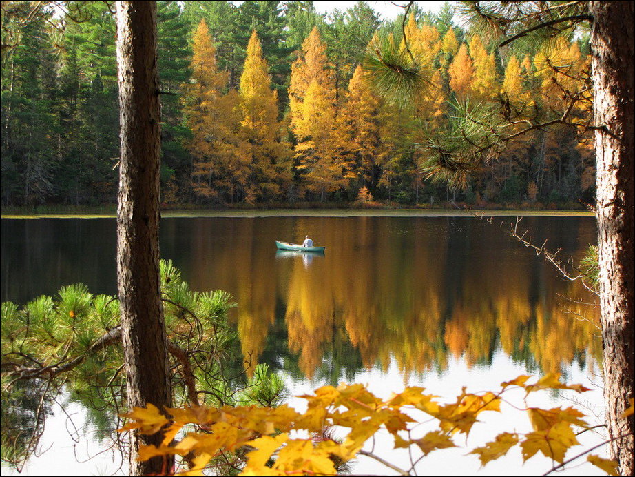 Все краски осени