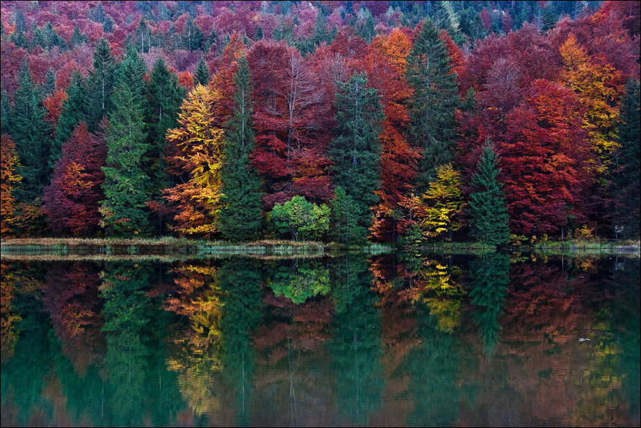 Все краски осени
