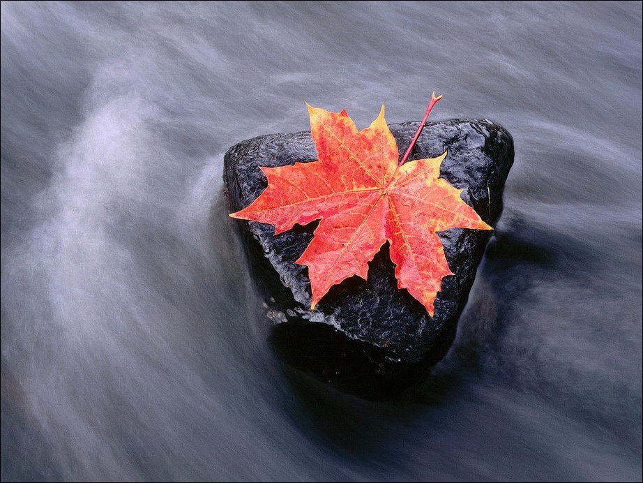 Все краски осени