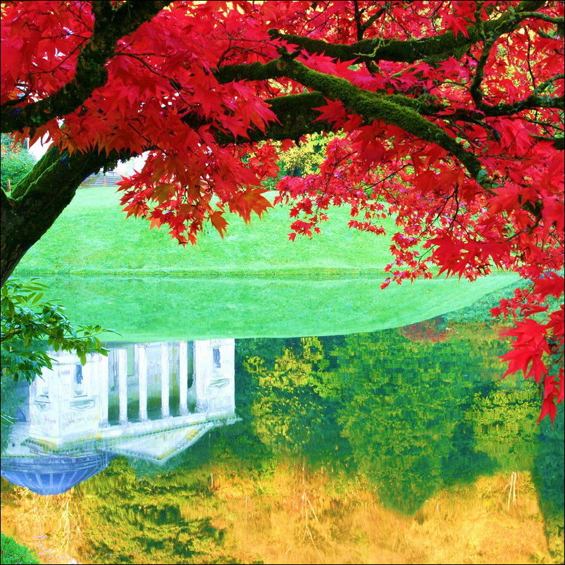 Все краски осени