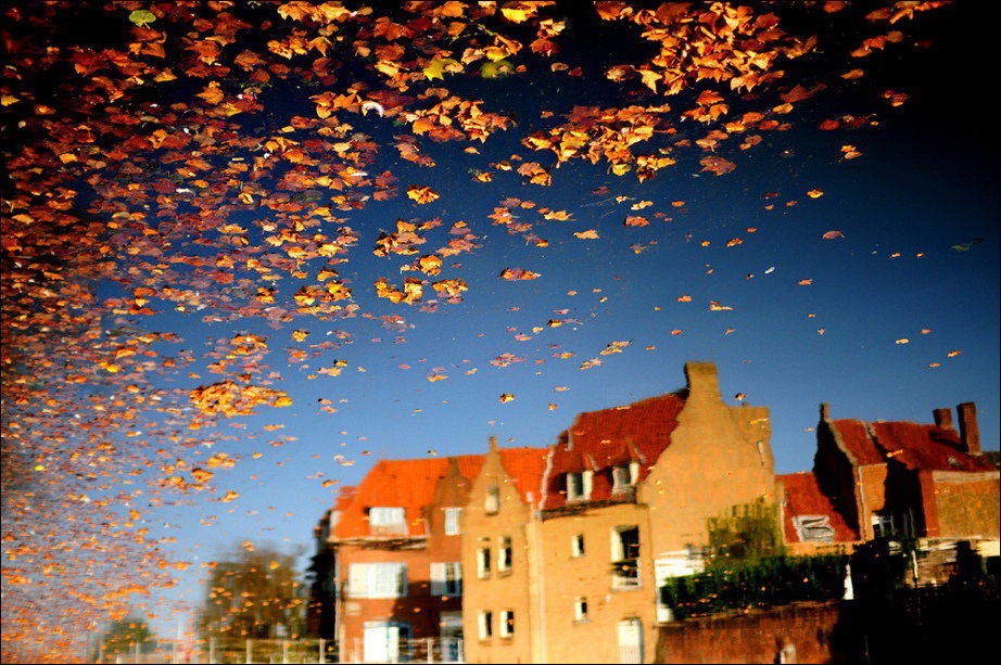 Все краски осени