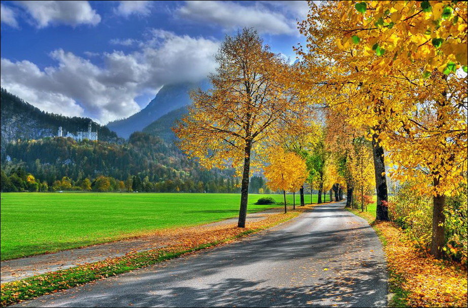 Все краски осени