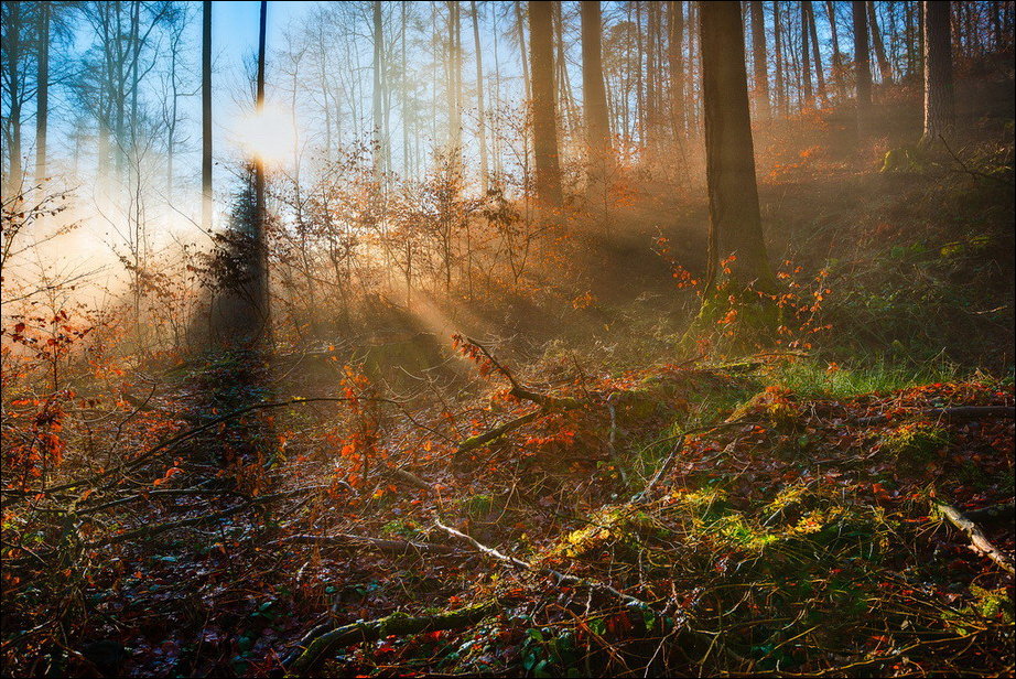 Все краски осени