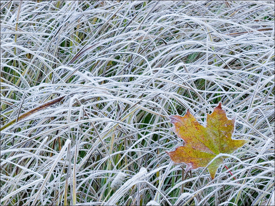 Все краски осени