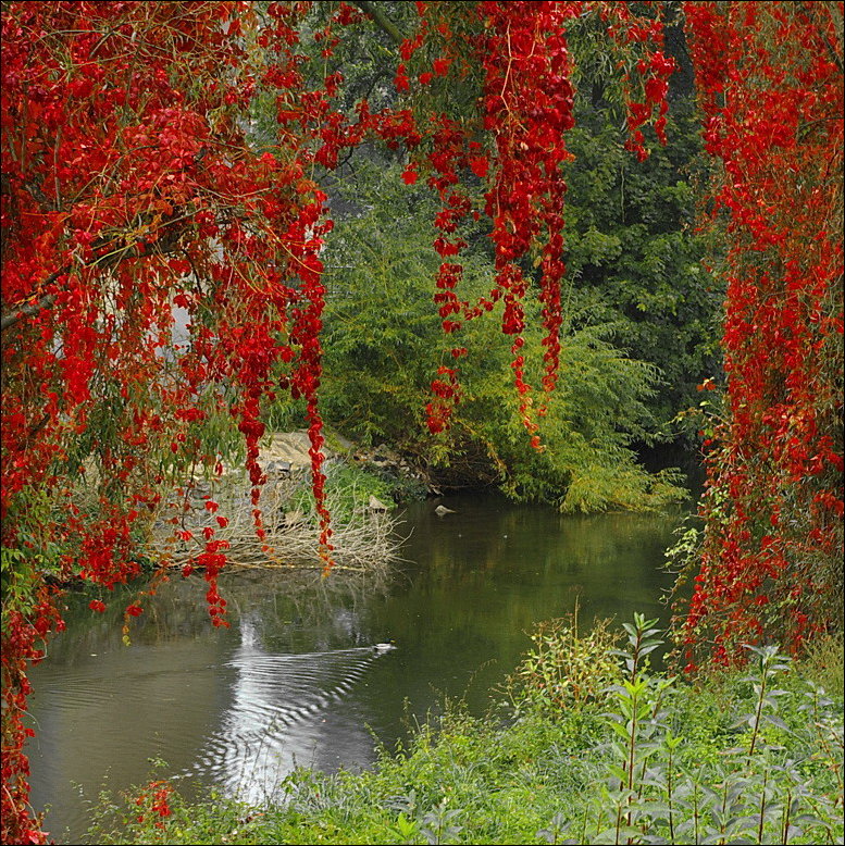 Все краски осени