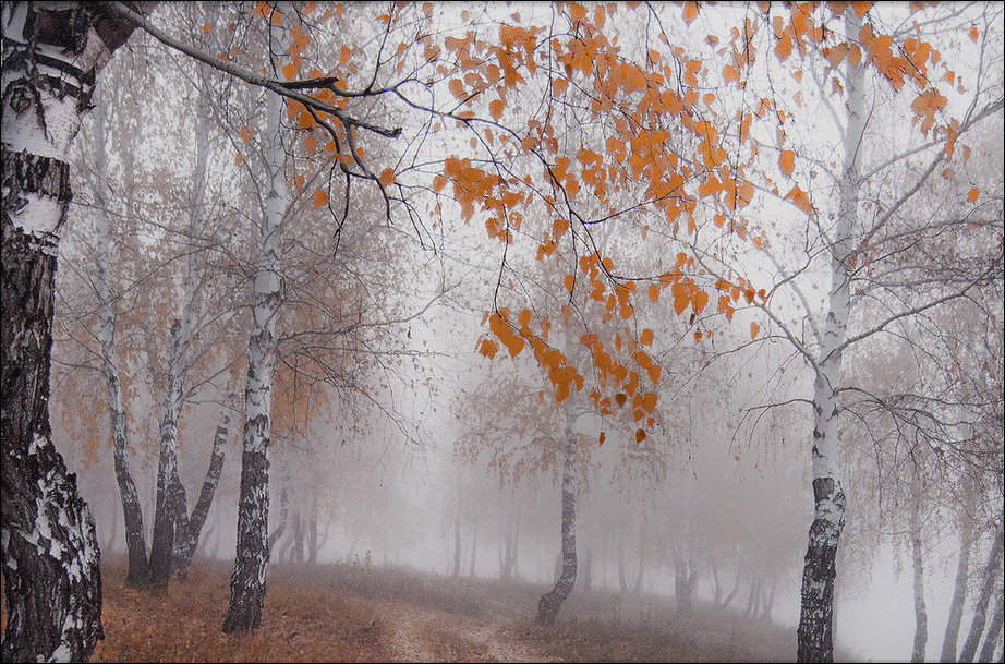 https://www.prikol.ru/wp-content/gallery/october-2012/autumn-colours-043.jpg