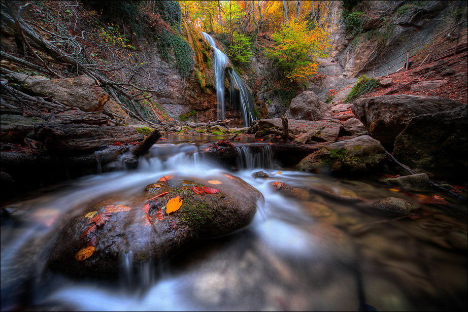 Все краски осени