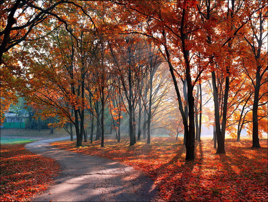 Все краски осени