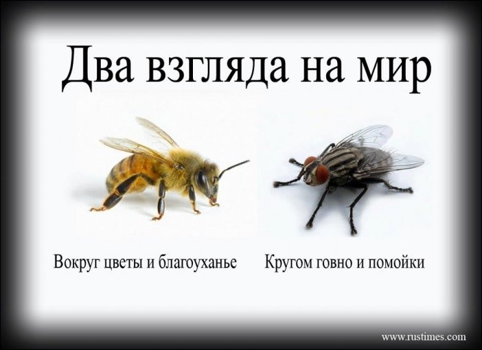 Комиксы и карикатуры