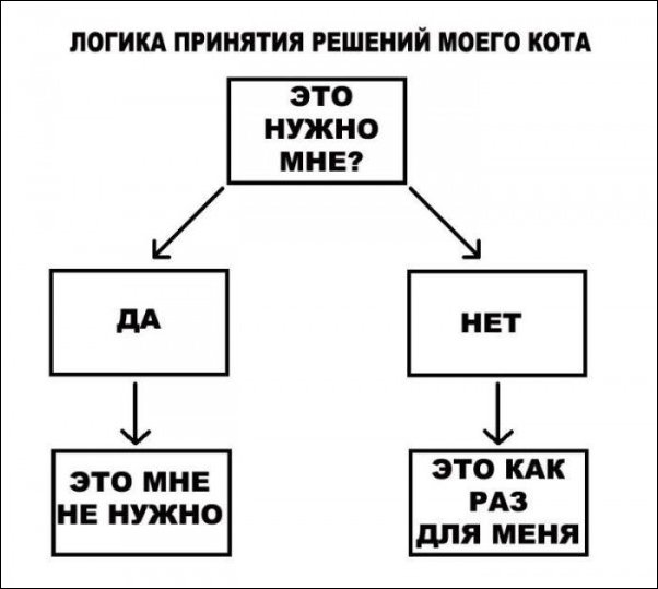 Комиксы и карикатуры