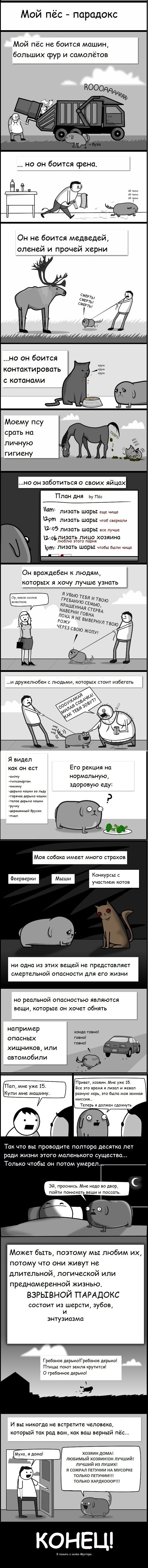 Комиксы и карикатуры