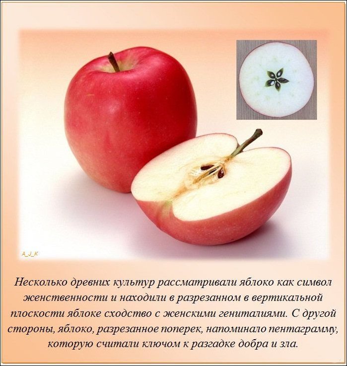 Интересные факты