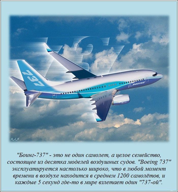 Интересные факты