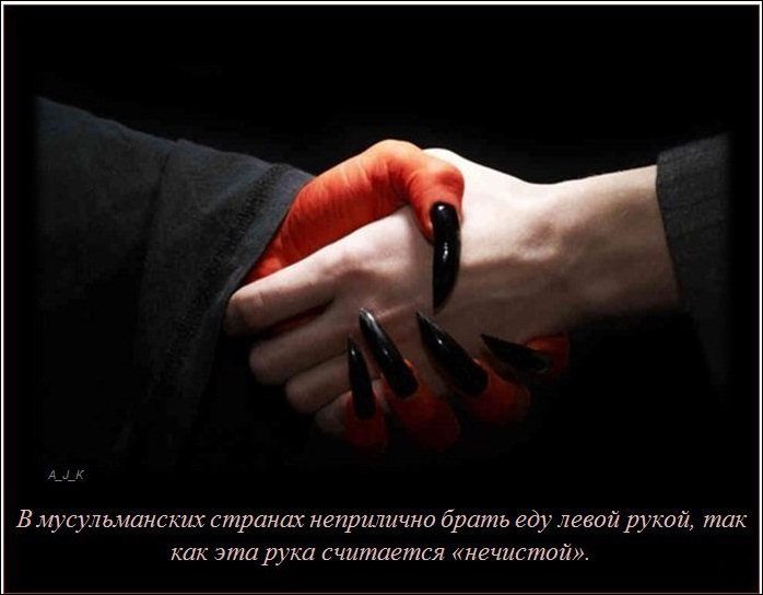 Интересные факты