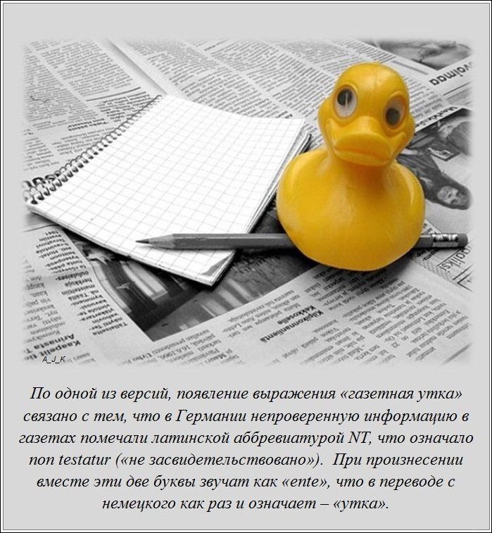 Интересные факты