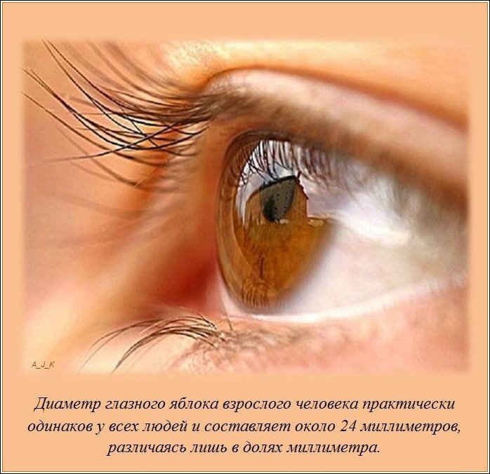 Интересные факты