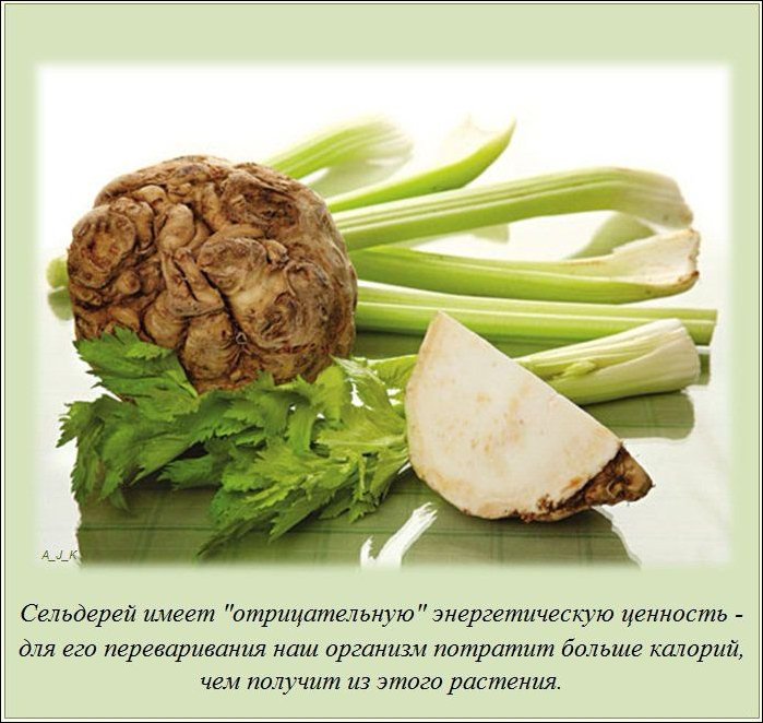 Интересные факты