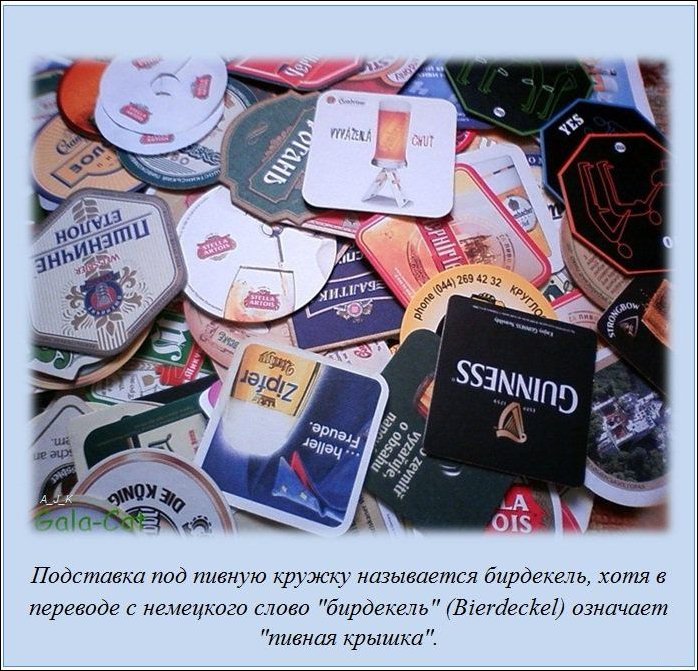 Интересные факты