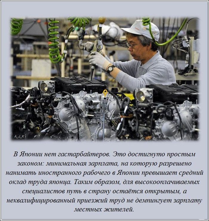 Интересные факты о разном