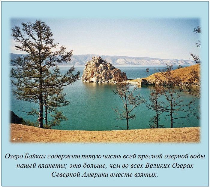 Интересные факты о разном