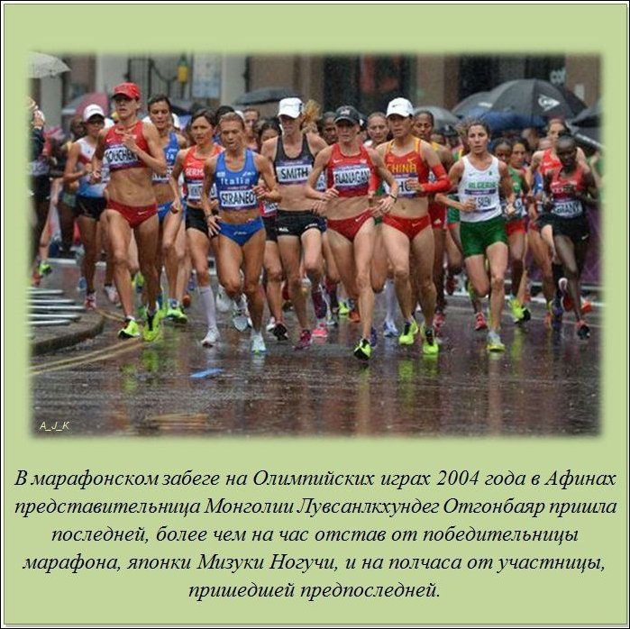 Интересные факты о разном