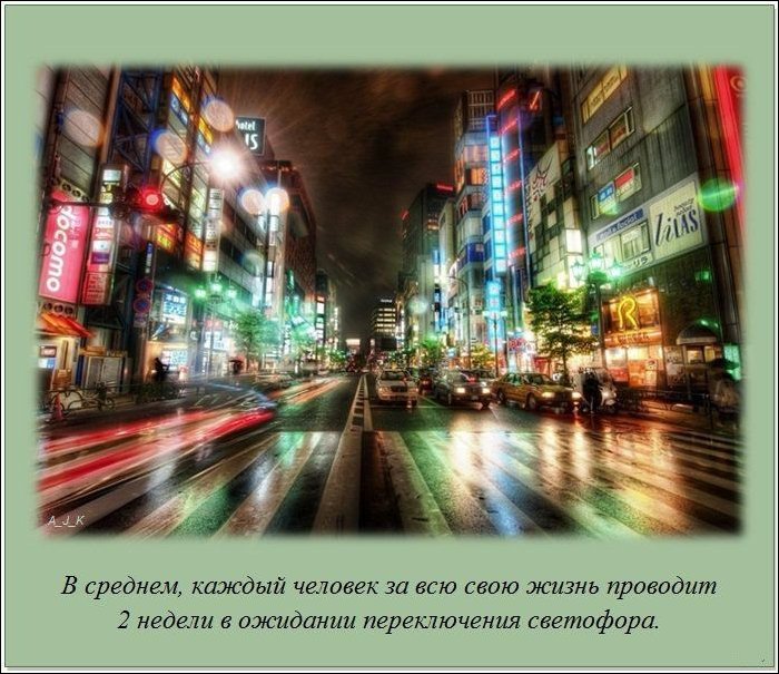 Интересные факты о разном