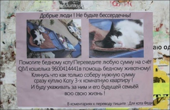 Прикольные надписи и объявления