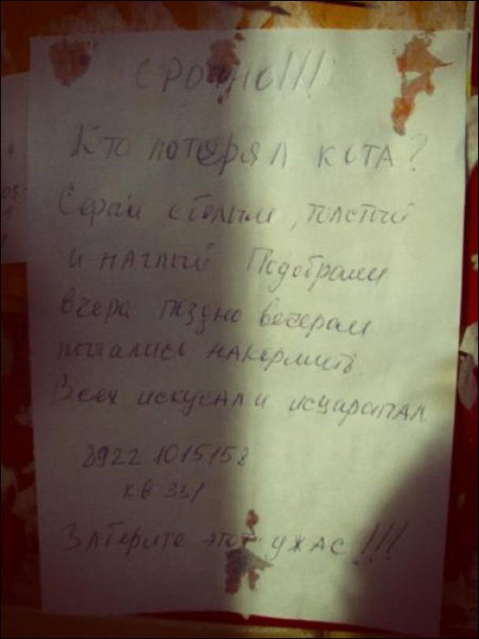 Прикольные надписи и объявления