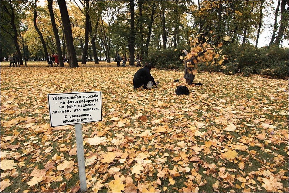 Прикольные надписи и объявления