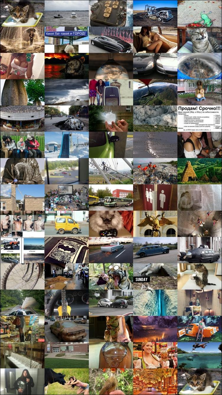 Подборка фотографий