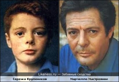 Забавные сходства