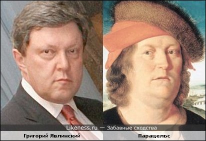 Забавные сходства