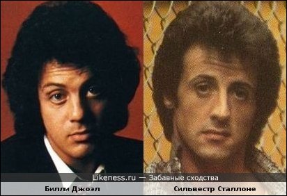 Забавные сходства