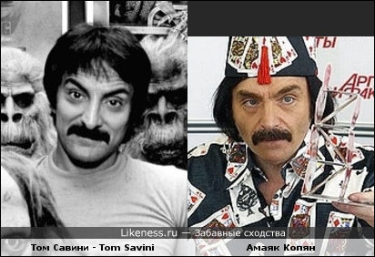 Забавные сходства