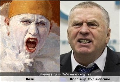 Забавные сходства