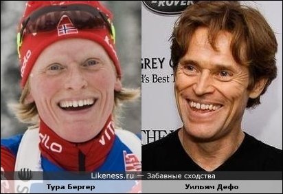 Забавные сходства