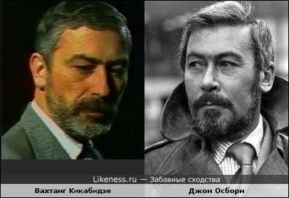 Забавные сходства