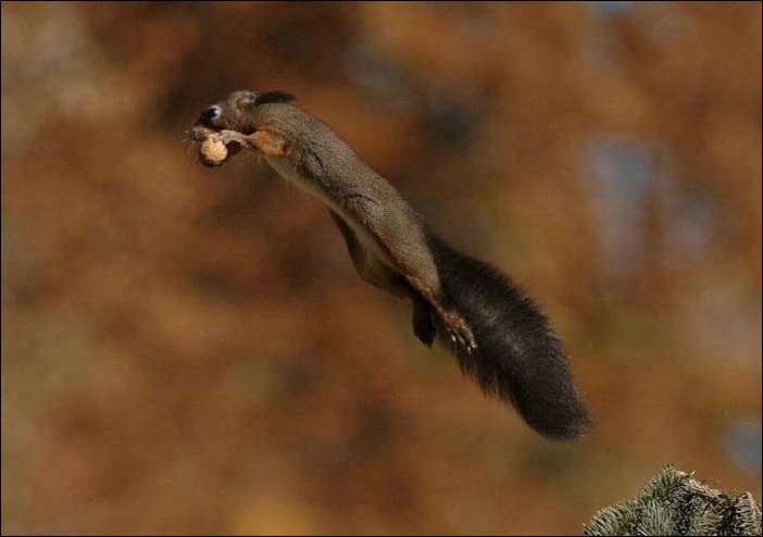 В нужный момент