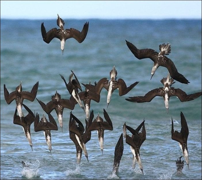 В нужный момент