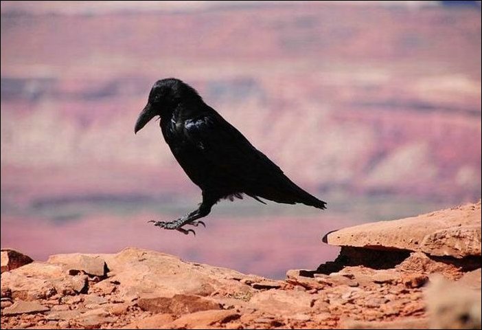 В нужный момент