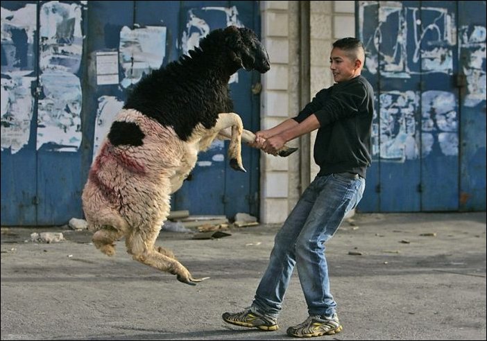 В нужный момент