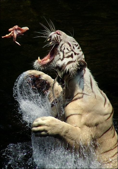 В нужный момент