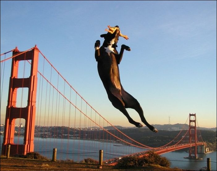 В нужный момент