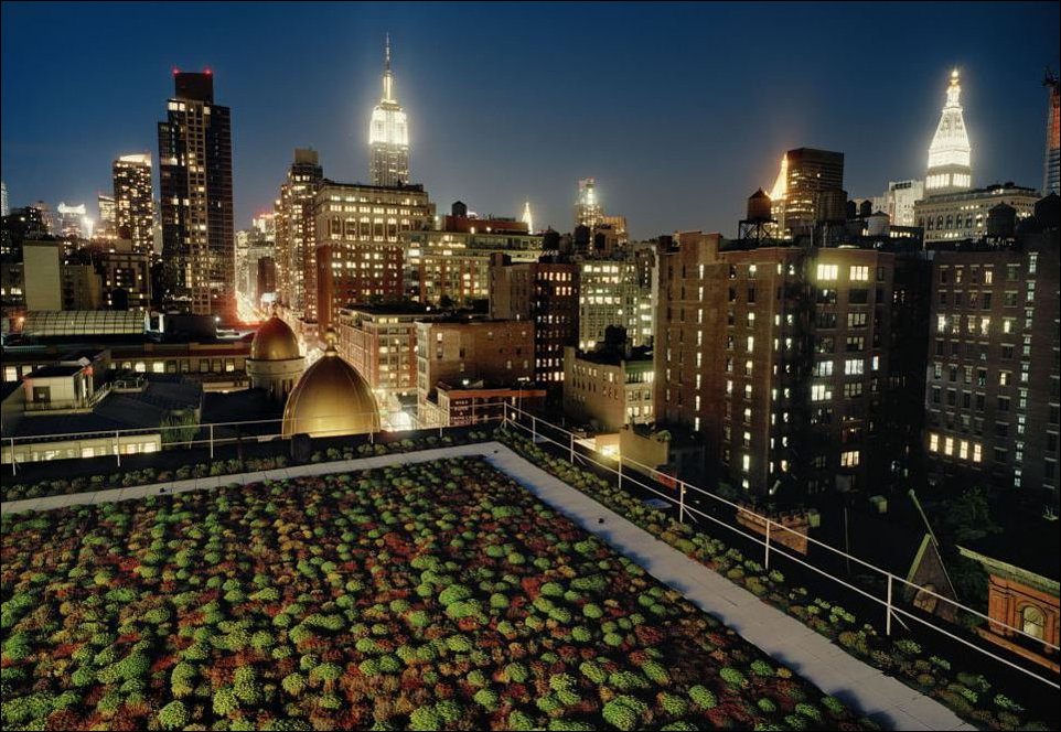 Что скрывают крыши