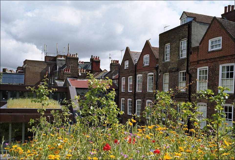 Что скрывают крыши