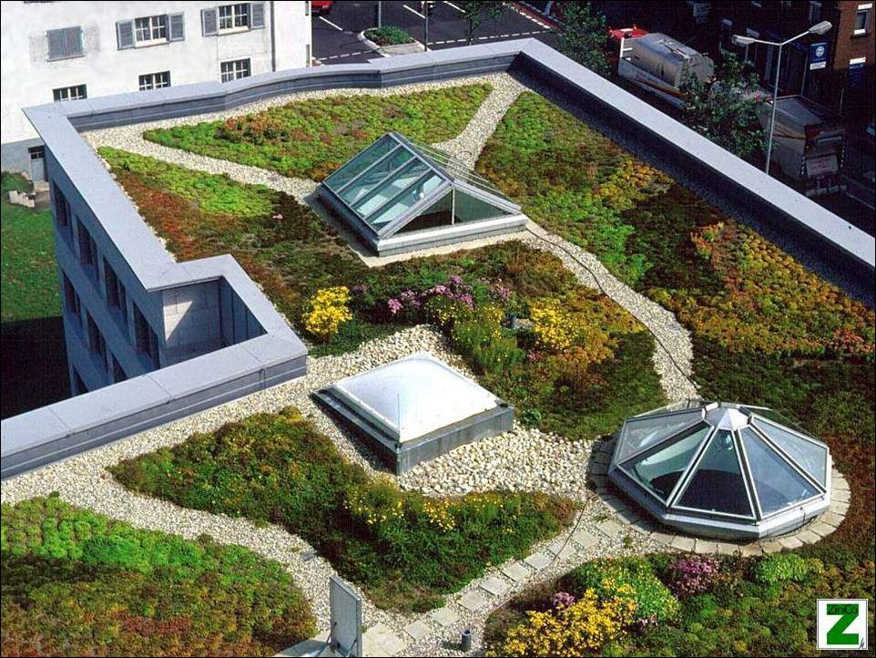 Что скрывают крыши