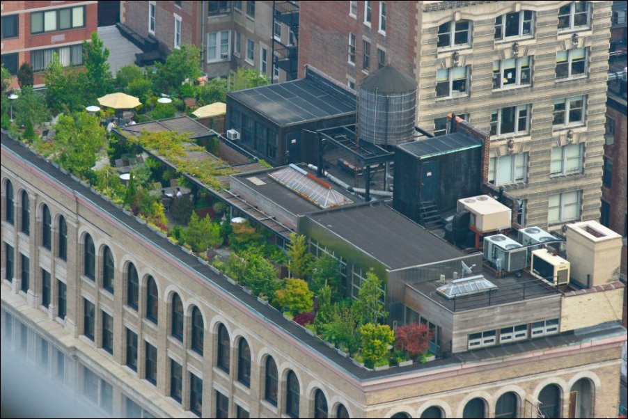 Что скрывают крыши