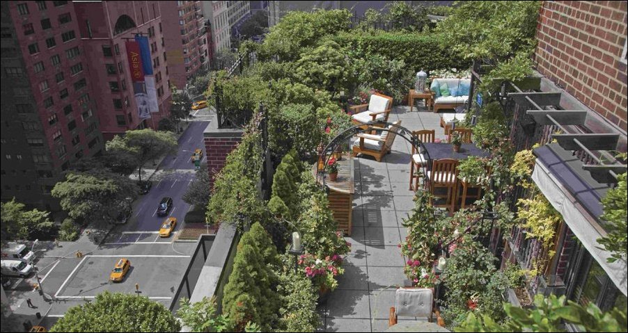 Что скрывают крыши